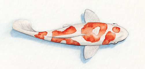 Image showing Koi fish with red pattern show the word Koi