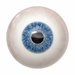 Image showing blue human iris