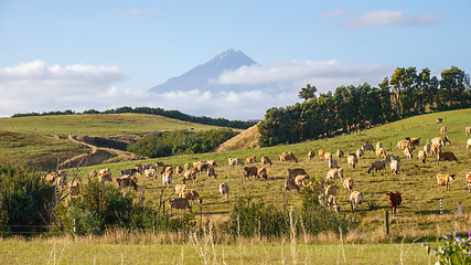 Image showing Mt Taranaki north island of New Zealand