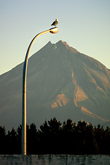 Image showing Mt. Taranaki with street light