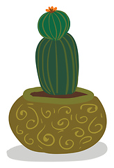 Image showing A beautiful indoor decoration plant of cactus with a flower at i