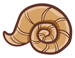 Image showing A circular brown shell vector or color illustration