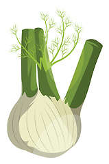 Image showing Cartoon fennel vector illustration of vegetables on white backgr