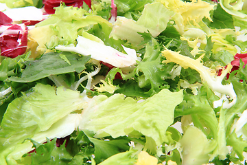 Image showing fresh color lettuce 