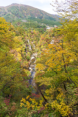 Image showing Naruko canyon in autumn