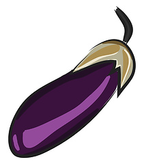 Image showing A purple eggplant, vector color illustration.