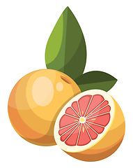 Image showing Cartoon of yellow grapefruit cut in half vector illustration on 