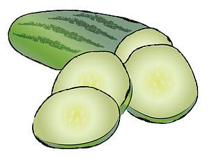 Image showing Sliced cucumber for salad vector or color illustration