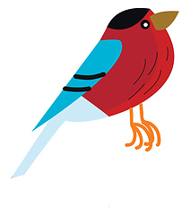 Image showing A cute small colorful bird in red blue and black color vector co