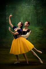 Image showing Young ballet dancers as a Snow White\'s characters in forest