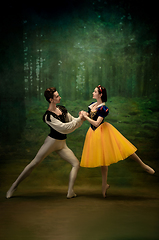 Image showing Young ballet dancers as a Snow White\'s characters in forest