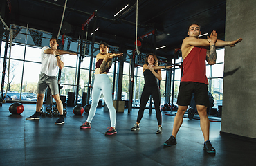 Image showing A group of muscular athletes doing workout at the gym