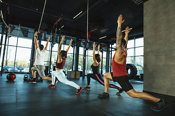 Image showing A group of muscular athletes doing workout at the gym