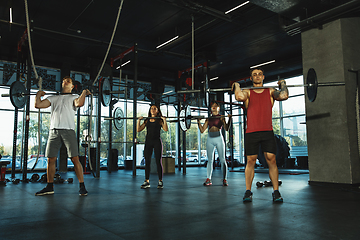 Image showing A group of muscular athletes doing workout at the gym