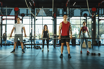 Image showing A group of muscular athletes doing workout at the gym