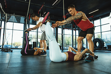 Image showing A group of muscular athletes doing workout at the gym