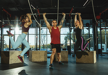 Image showing A group of muscular athletes doing workout at the gym