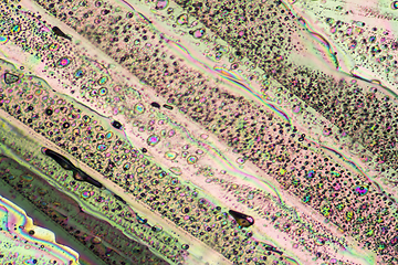 Image showing colorful Sodium acetate micro crystals