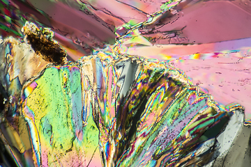 Image showing Trisodium citrate microcrystals