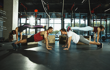 Image showing A group of muscular athletes doing workout at the gym