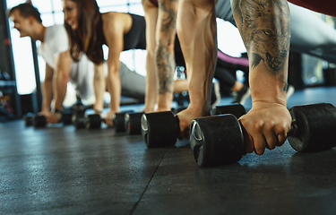 Image showing A group of muscular athletes doing workout at the gym