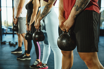 Image showing A group of muscular athletes doing workout at the gym