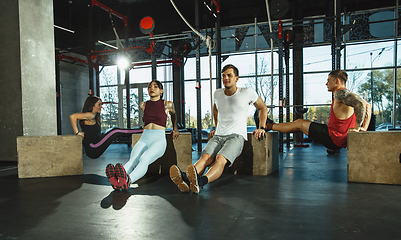 Image showing A group of muscular athletes doing workout at the gym