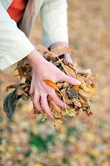 Image showing woman holding leaves