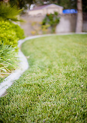 Image showing grass landscaped yard