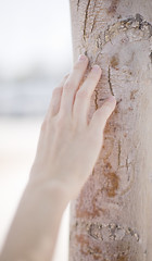 Image showing woman touching tree