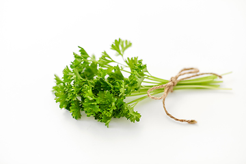 Image showing bunch of parsley on white background