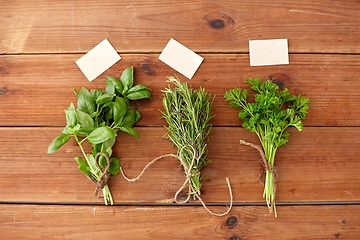 Image showing greens, spices or medicinal herbs on wooden boards