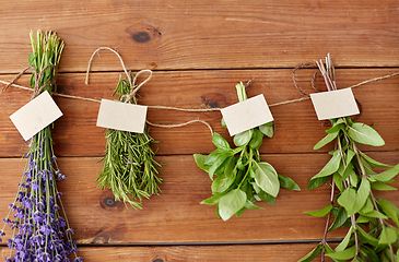 Image showing greens, spices or medicinal herbs on wood