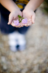 Image showing kid holding flower