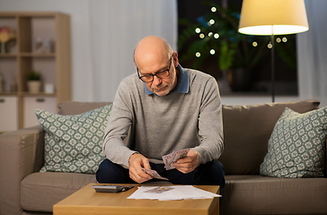 Image showing senior man counting money at home