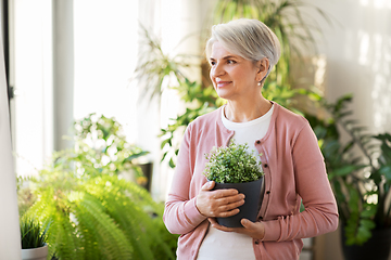 Image showing happy senior woman with flower in pot at home