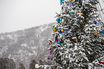 Image showing New year fir tree