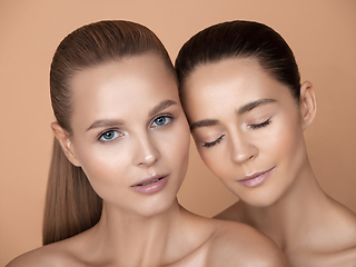 Image showing Portrait of beautiful young women isolated on brown studio background