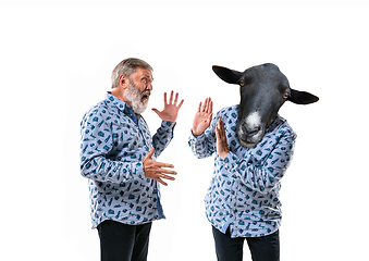 Image showing Senior man arguing with himself as a donkey on white studio background.