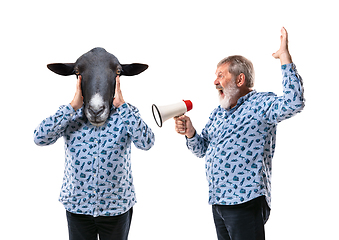 Image showing Senior man arguing with himself as a donkey on white studio background.