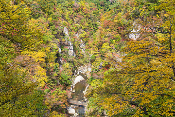 Image showing Rocky cliffs in Miyagi