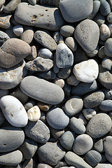 Image showing pebbles on the beach of the Black Sea