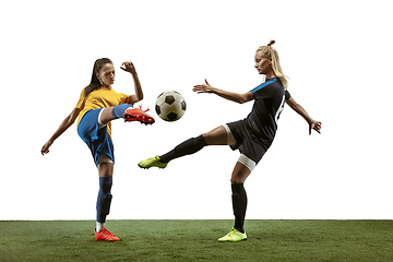 Image showing Female soccer players practicing and training at the stadium