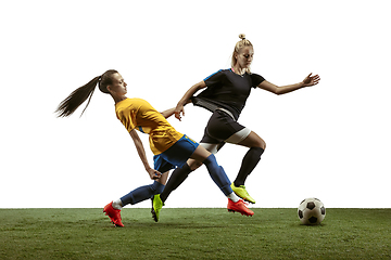 Image showing Female soccer players practicing and training at the stadium