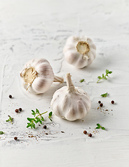 Image showing composition of garlic and spices