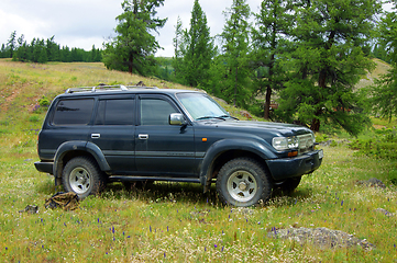 Image showing Car tourist on year glade amongst tree