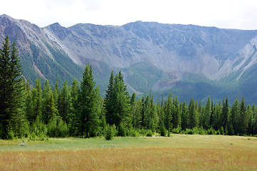 Image showing High mountains and glade with wood year daytime