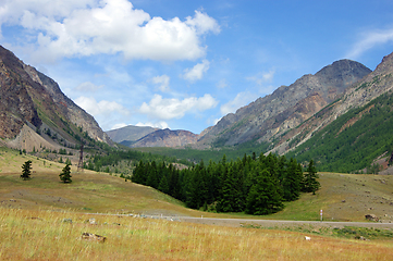 Image showing Colorful year landscape with mountain and wood