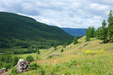 Image showing Colorful year landscape with mountain and wood