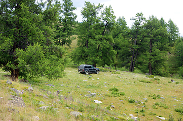 Image showing Car travellier on glade beside wood year daytime